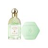 Rosa Verde - The Feel-Good Ritual