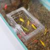 1Pcs Acrylic Fish Tank Fixed Food Dispenser Wide Feeding Area Dispensing Tool Aquarium Fish Food Feeder With Suction Cup