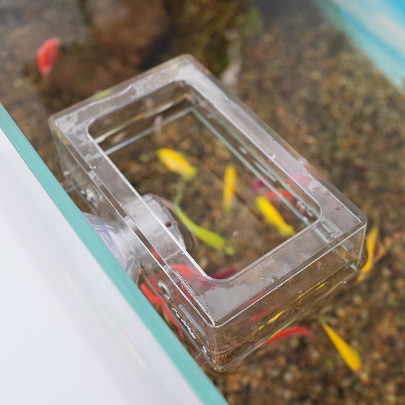 1Pcs Acrylic Fish Tank Fixed Food Dispenser Wide Feeding Area Dispensing Tool Aquarium Fish Food Feeder With Suction Cup