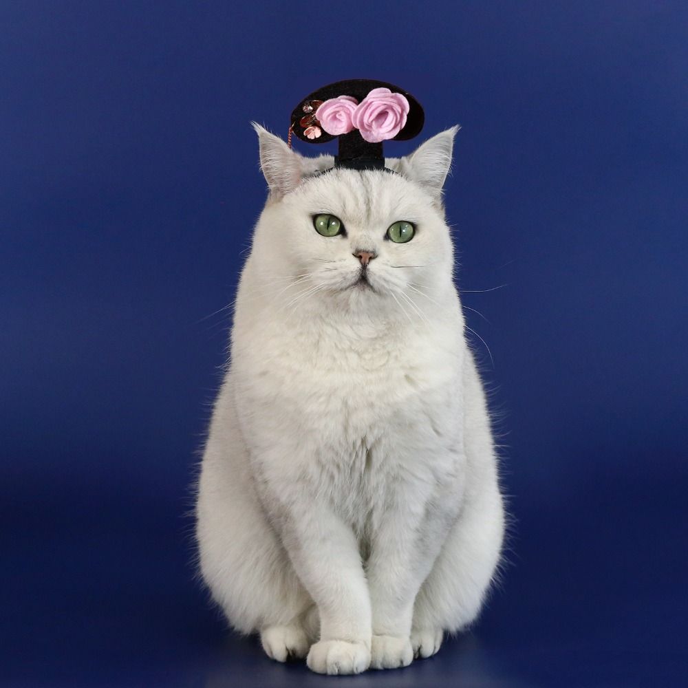 Traditional Cat Headdress Chinese Style Dog Hanfu Headband Puppy Pet New Year Headband  Dog/cat