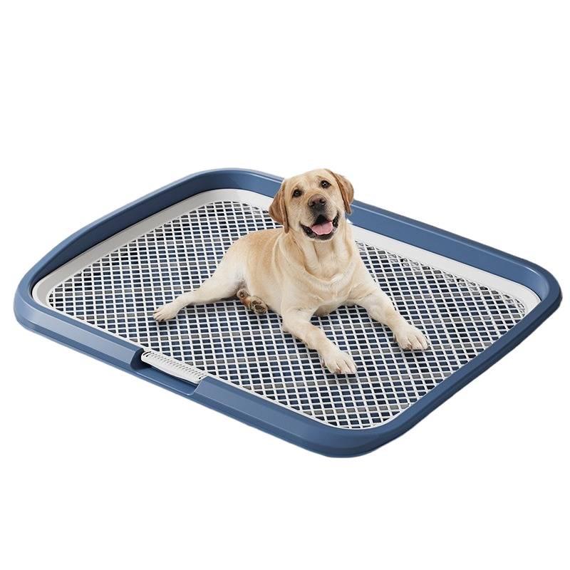 Dog Potty for Small to Medium Dogs: Fixed Point Urination and Defecation Solution