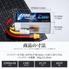 Zeee 6S LiPo Battery, 22.2V 120C 2200mAh with XT60 Plug, 2-Pack, High-Capacity Battery for RC Products, Drones, RC Trucks, RC Boats, RC Cars, and More