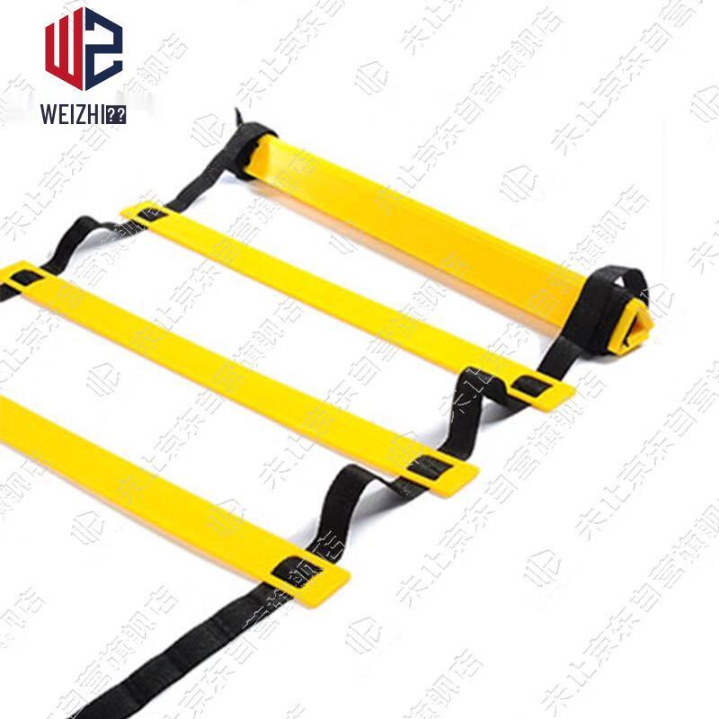 Adjustable 6-Meter 12-Section Agility Ladder