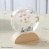 Chatani Glass Float Thermometer, Round, "Moomin" Design, W10 x D3.5 x H12.5cm, "FunScience" Item No. 152-333232
