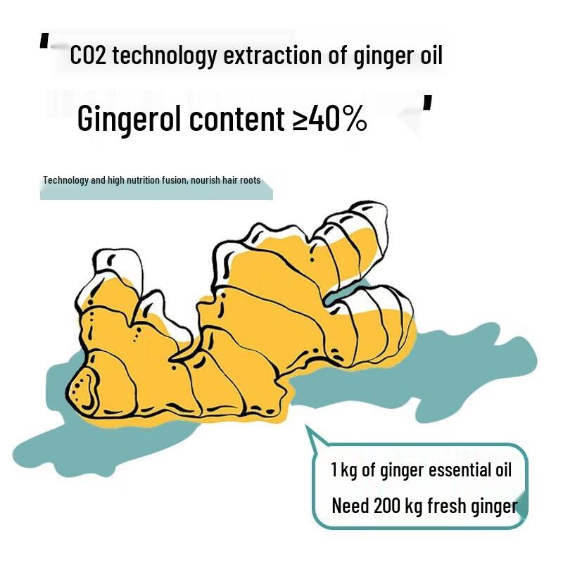 Accen Yunnan Ginger Anti-Hair Loss Shampoo