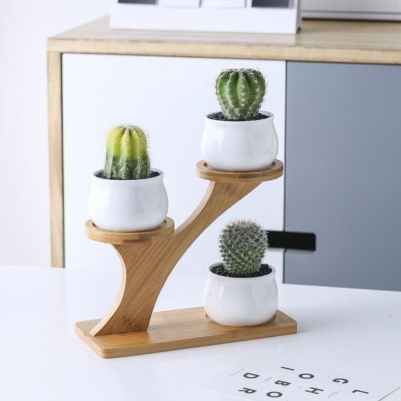 Unique Tree Branch Shaped Succulent Pot Stand Wooden Desktop Succulent Plant Pots Holder Flowerpots for Windowsill Tabletop Decor
