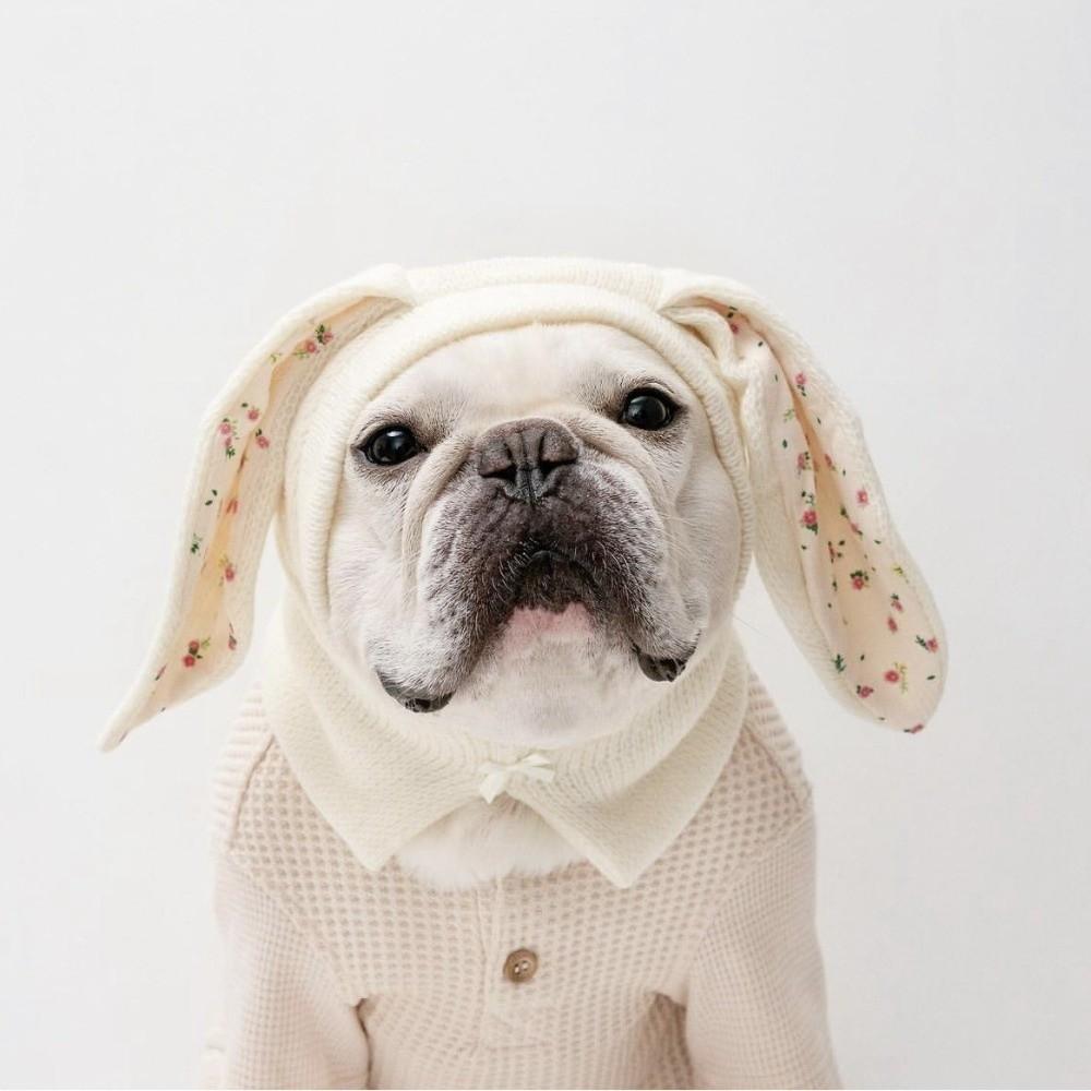 Cute Rabbit Ears Pet Hat Soft Elastic Floral Pattern Knitted Pet Hat Warm Comfortable Pet Dog Costume Small Medium Dog