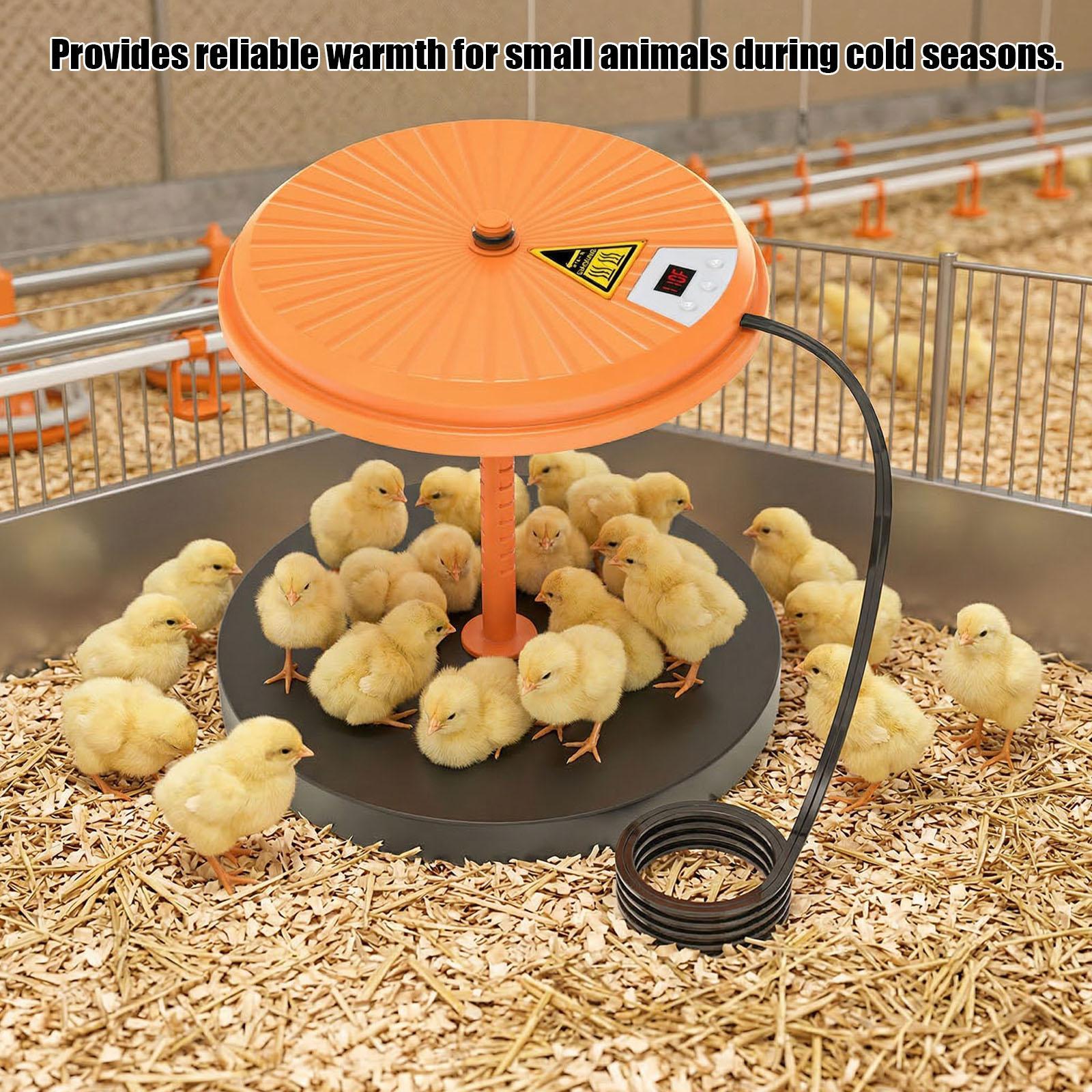 Chick Brooder Heating Plate with Temperature Control Egg Incubator Chick Heat Plate for Hatch Chicken Duck Quail Pigeon Pheasant China Mainland