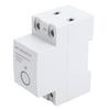 WiFi Timer Switch 2P 40A Programmable APP Control Voice Control Smart Time Switch for Home