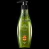 Sapindus Moisturizing & Oil Control Shampoo