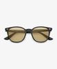 Seutailwokeu Brown Tint Style Work Tr90-04 C1_Br Style Work Sunglasses