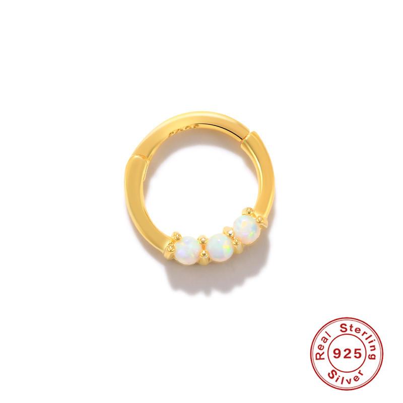 Sterling Silber S925 Körperpiercing Knorpel Nahtloser Nasenring Offener Ring Piercing Mode Nasenring Ohrringe Fußohrringe Ohrringe