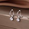 925 Sterling Silver Hoop Earrings: 2025 Modern Niche Design - Elegant & Luxurious for Women