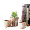 Red Clay Breathable Minimalist Terracotta Flower Pot with Feet for Succulents and Pothos - Round Design, Free Shipping