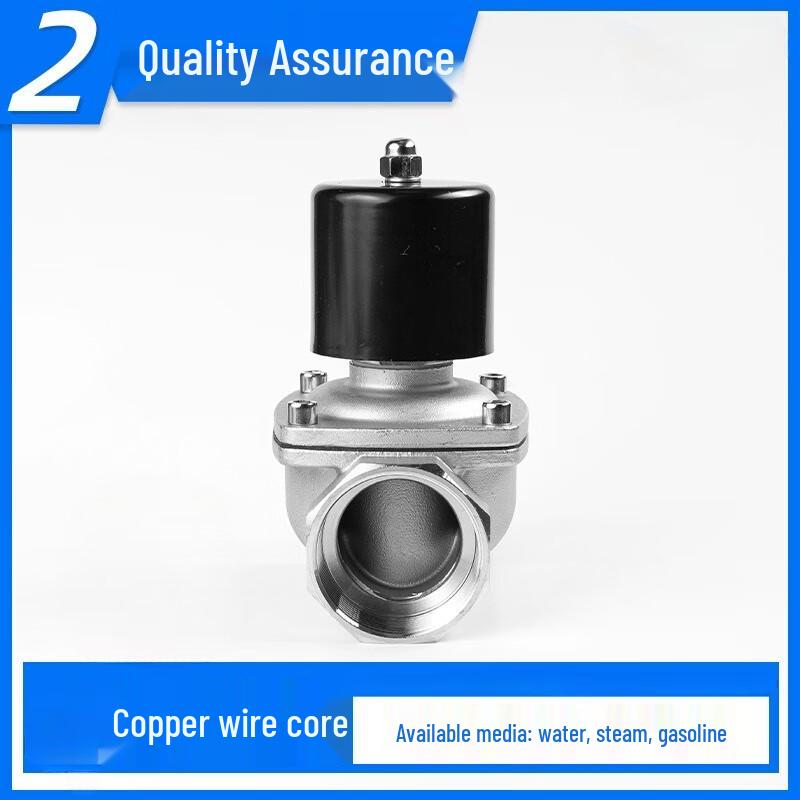 Yuanke 304 Stainless Steel 2-Way Solenoid Valve