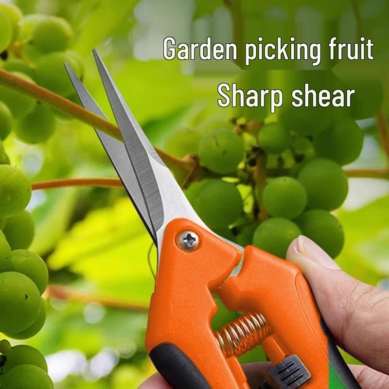 Cross-Border Horticulture Pruning Shears for Fruit, Grapes, and Vegetables