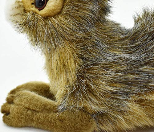 BH6284 HANSA Black-tailed Rabbit 25