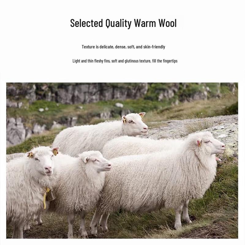 Shanshan Men's Wool Blend Warm Straight-Leg Casual Pants