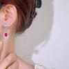 Beauty Influencer Pink Crystal Zircon Retro New Chinese Ruby Earrings Long Flower Tassel Accessories