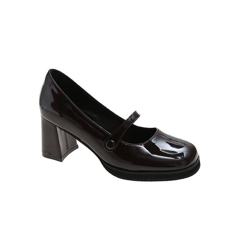 French High-heeled Mary Jane Shoes 2025 Spring and Summer New Retro Medium Thick Heel JK Single Shoes Fairy Style Fashion High Heels