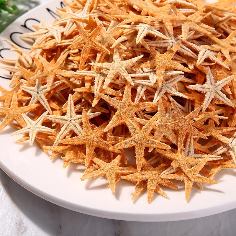 100Pcs/pack New Simulation Natural Starfish Micro Landscape DIY Hanging Photo Frames Candles Beach Handicrafts Home Decoration