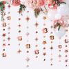 Rose Gold 13th Birthday Decorations Number 13 Circle Dot Twinkle Star Garland Metallic Hanging Streamer Bunting Banner Backdrop for Girls 13 Year Old