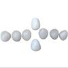 Polished White Natural Pebble Stones for Hydroponics, Fish Tanks, Landscaping, and Balcony Decor