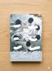 Album Autografat NCT WISH Steady Secret Sale
