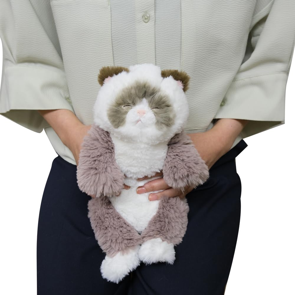 Sun Lemon Sleeping Lap Small Ragdoll 15 X 12 X Plush Cute Cat, GYBR, 34cm, Animal, Cat, P-1583