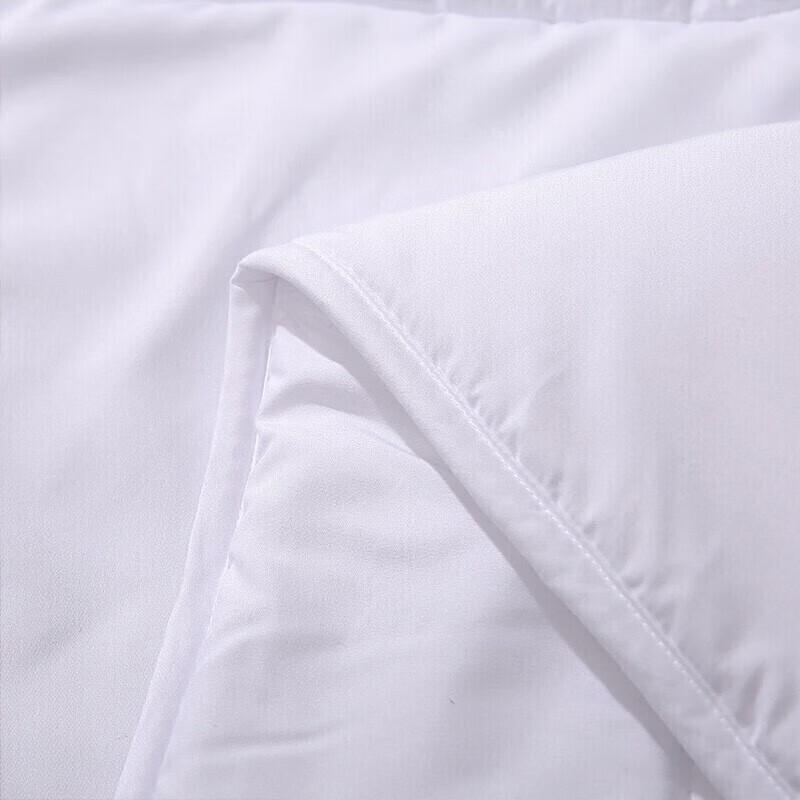 Fuanna Warm Fiber Quilt