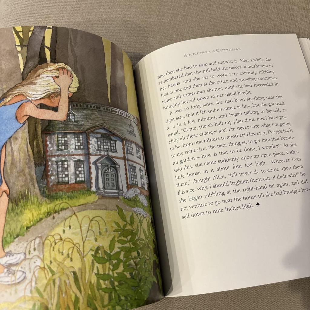 [USED] Foreign Books: Alice in Wonderland
