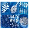Blue A5 Sun Art Paper Kit Sunprint Kit Cyanotype Paper With Acrylic Panel Solar Drawing Paper Sensitivity Nature Printing Paper