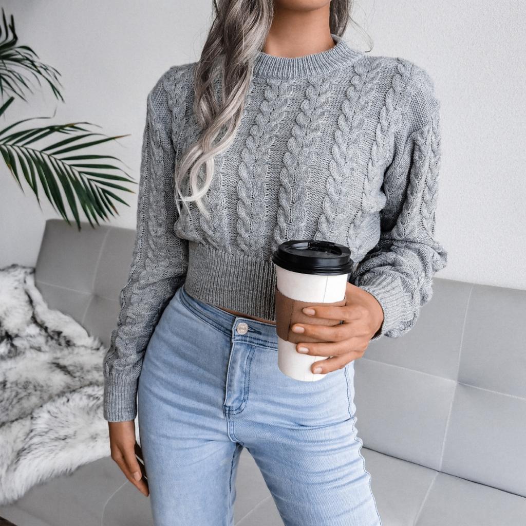 Damenmode Lässig Herbst Winter Rollkragen Zopfmuster Crop Pullover Top