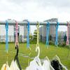 Windproof Clothesline, Fixed Clothes Hanger, Anti Falling Clothes Rack, Anti Blowing Clothes Hanger, Windproof Clothesline