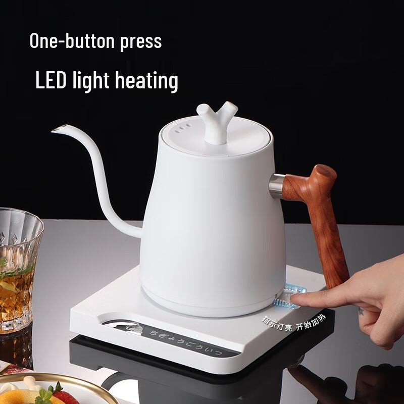 1L Electric Gooseneck Kettle with Temperature Control CN Plug (adapter Included)