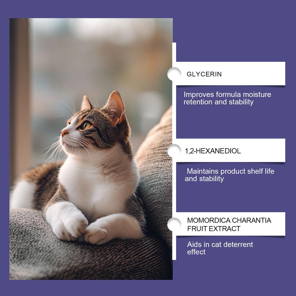 Spray, Furniture Scratch Prevention, Suitable For Both Indoor And Outdoor Use,100ml