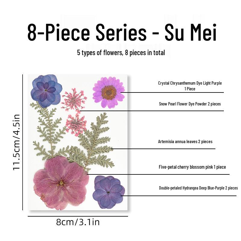 DIY Dried Flower Specimen Sticker Set for Kids: Handmade Pressed Flower Frames & Resin Bookmark Craft Kit