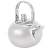 Tekanna i 304 rostfritt stål Platt botten Induktionsspis Vattenkokare Tekanna med filter Silver 14cm