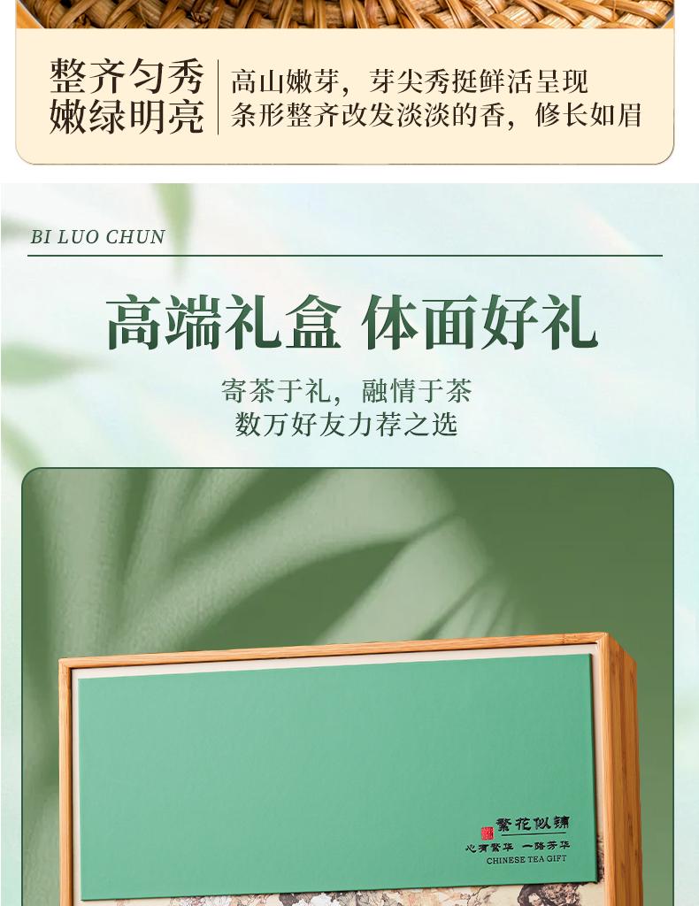 Premium Mingqian Biluochun Green Tea New Tea Xinyang Maojian Bean Fragrance Longjing Spring Tea Ceramic Gift Box Gift for Elders