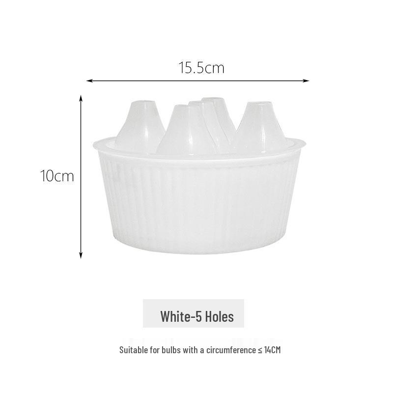 Tulip & Hyacinth Hydroponic Flower Pots: Three or Five-Hole Containers for Narcissus Seeds