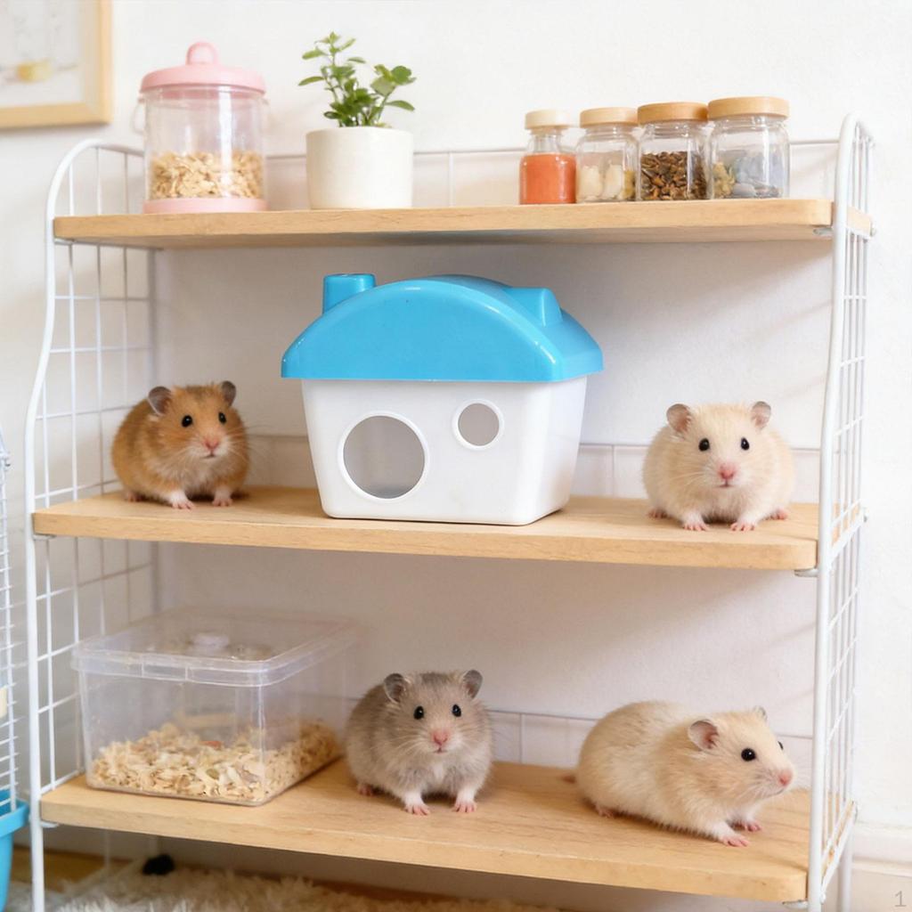 Hamsterversteck Hütte Niedriges Spielzeug Verstecke Kleintier Lebensraum für Igel Ratte Chinchilla