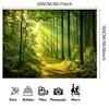 2D Enchanted Sunlit Green Forest Photography Background