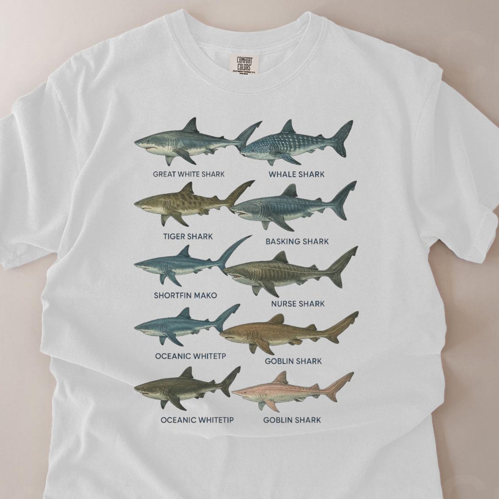 Vintage Shark Species T-Shirt, Great White Shark Tee, Marine Biology Ocean Animals Top, Whale Shark Graphic,Fisherman Gift S