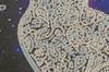 Midi Set for Embroidery with Beads On Natural Artistic Canvas Abris Art Cat Family