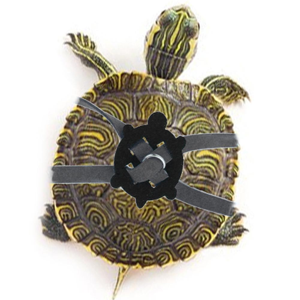 Tortoise Leash Wear-resistant Adjustable Size Safety Traction Rope Harness Strap for Tortoise Turtle Pet Turtle Supplies