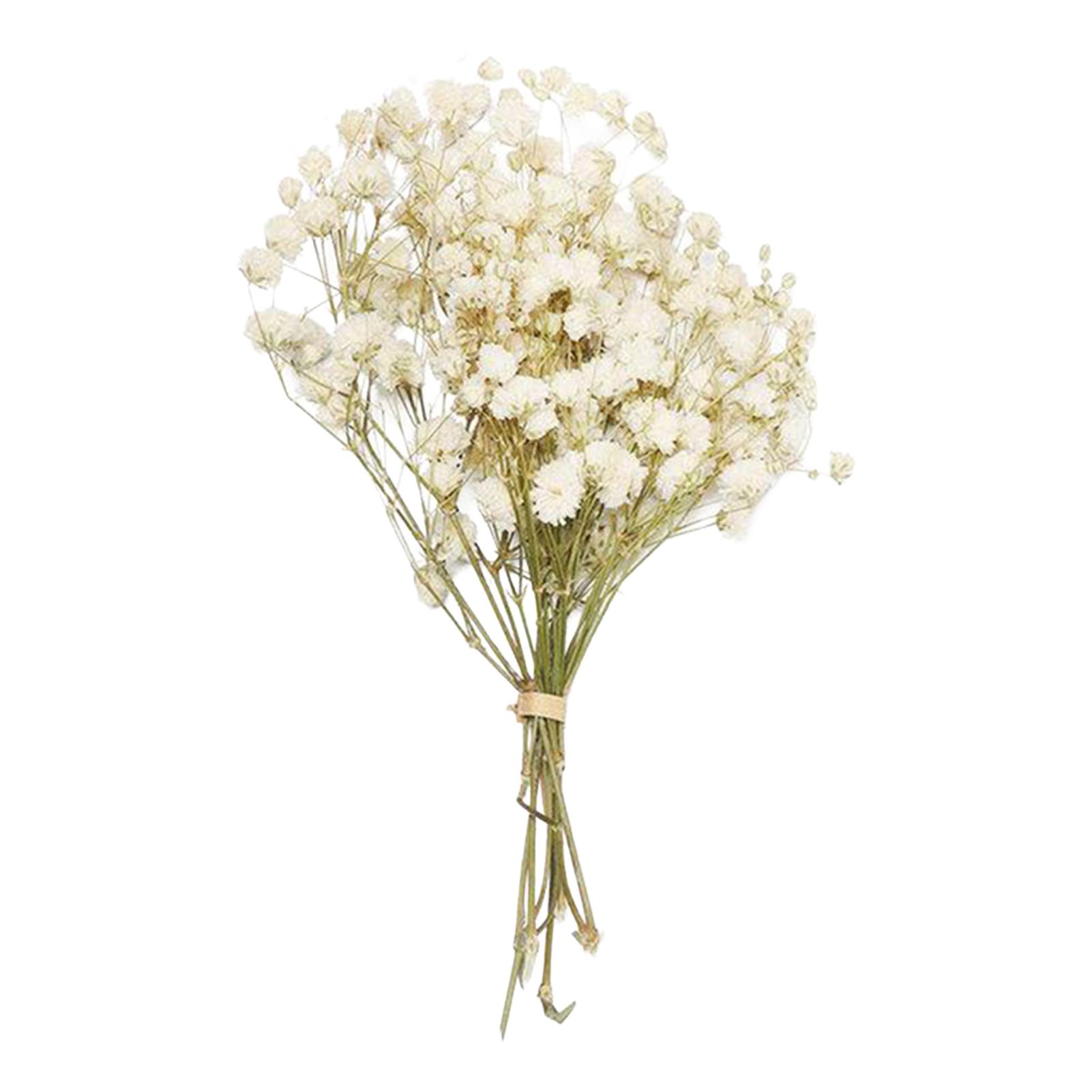 

Preserved Mini Flower Bouquet with Baby s Breath and Lover s Grass for Home Wedding Decor