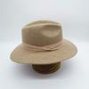 French Japanese Retro Elegant Brown Coffee Mocha Camel Wide Brim Wool Woolen Jazz Top Hat Women'S Autumn And Winter Felt Tide