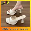 French Niche Comfortable Internet Celebrity High Heel Cool Slippers 2025 Summer New Thick Heel Fairy Height Cool Slippers Women Wear