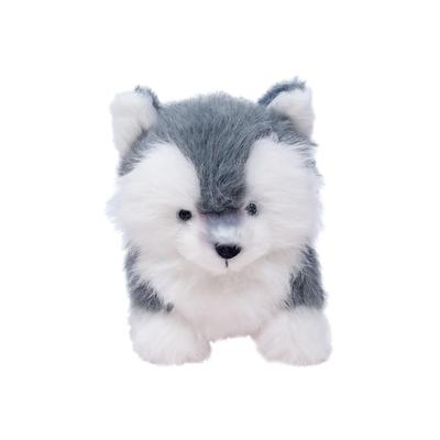 Bebek ve Peluş Oyuncaklar – Doldurulmuş ve Peluş oyuncak hayvanlar