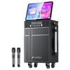 Sansui TD107 Tragbares KTV & Outdoor-Lautsprechersystem (CN-Version)